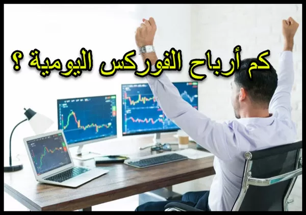 أرباح الفوركس اليومية